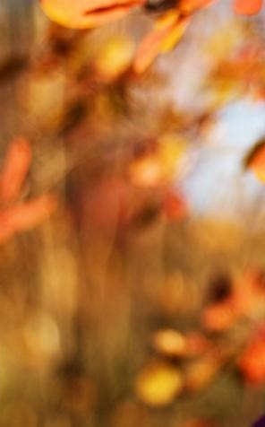 Senior-WIGOR: domy w Koszalinie i Jaworze już otwarte