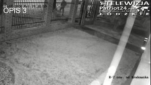[VIDEO] Policja poszukuje świadków w sprawie zabójstwa!
