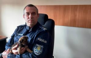 Porzucone szczeniaki znalazły dom wśród kutnowskich policjantów