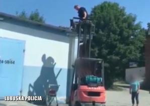 W Zielonej Górze po dachach chodzą psy, a nie koty. Pomagała policja