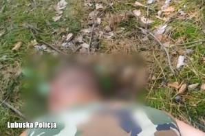 [VIDEO] Policyjny pościg za poszukiwanym mężczyzną w oku kamery