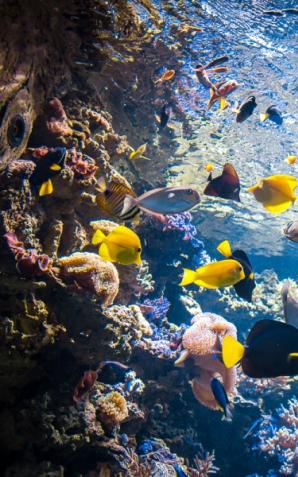 Mała Amazonia w Warszawie