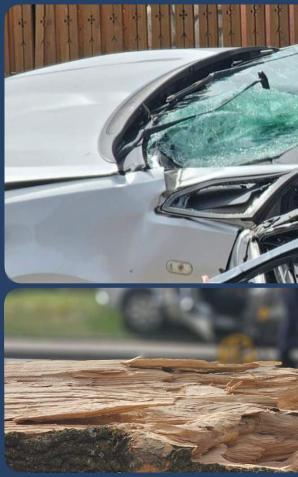 Tragiczne skutki silnych porywów wiatru halnego w Zakopanem. Nie żyje 5 osób, w tym dwoje dzieci