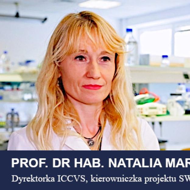 [VIDEO] Polscy naukowcy pracują nad personalizowaną terapią raka płuca. Faza badań klinicznych coraz bliżej