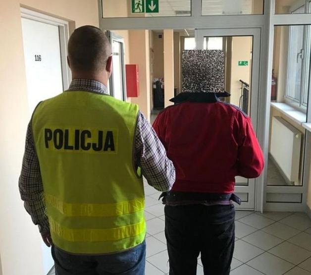 Wyrzucił szczeniaki do lasu. Odpowie za znęcanie nad zwierzętami