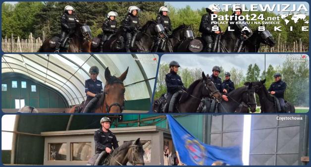 [VIDEO] Zakończyła się właśnie atestacja koni służbowych Ogniwa Konnego Wydziału Prewencji KMP w Częstochowie